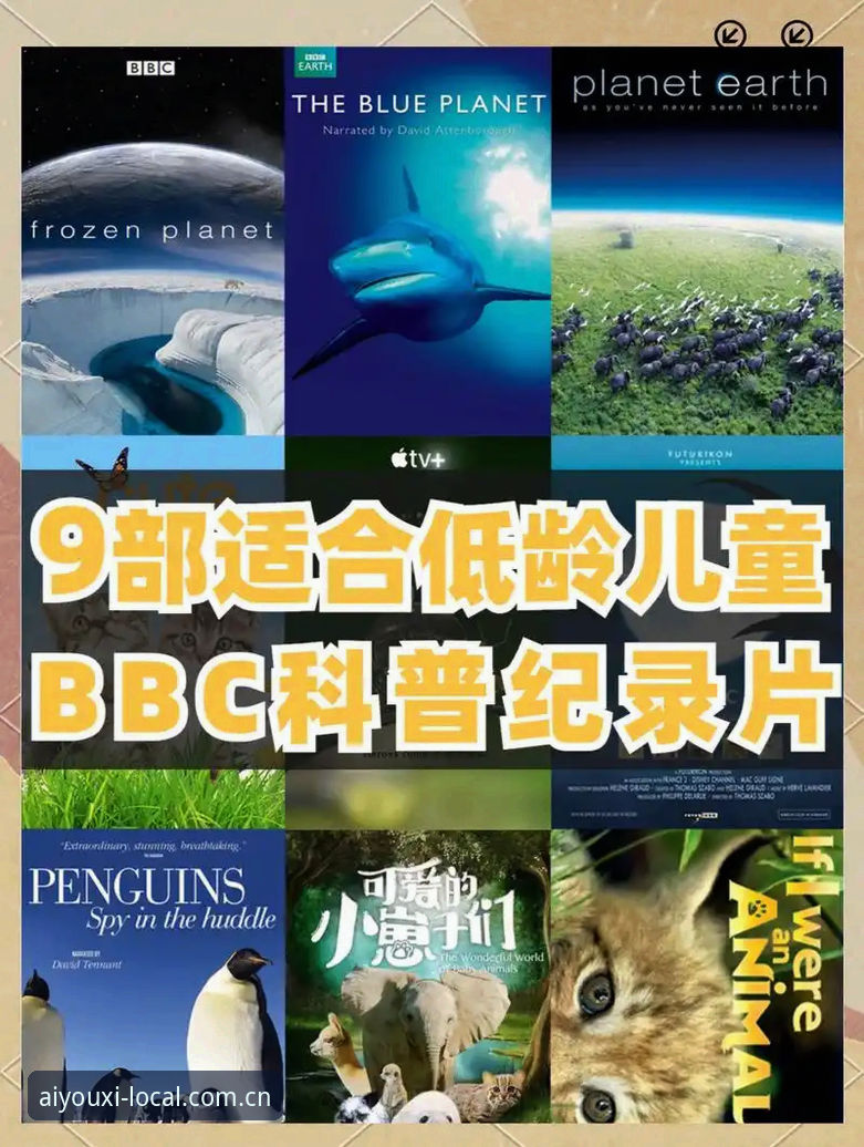 读懂索斯盖特新纪录片：一位老用户对“男性圈层”话题的避坑观片指南